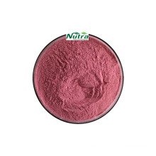 Natural Organic Cherry Berry Extract powder